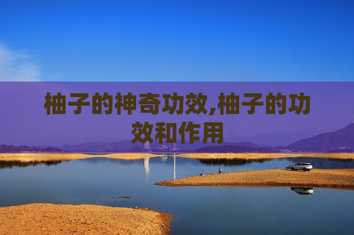 柚子的神奇功效,柚子的功效和作用