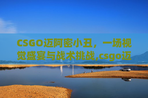CSGO迈阿密小丑，一场视觉盛宴与战术挑战,csgo迈阿密在什么箱子里