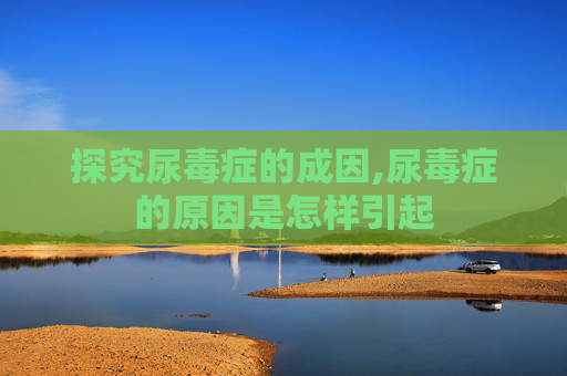 探究尿毒症的成因,尿毒症的原因是怎样引起