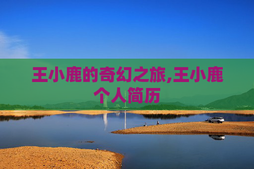 王小鹿的奇幻之旅,王小鹿个人简历