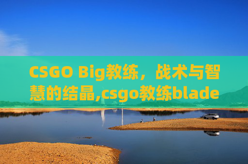 CSGO Big教练，战术与智慧的结晶,csgo教练blade3