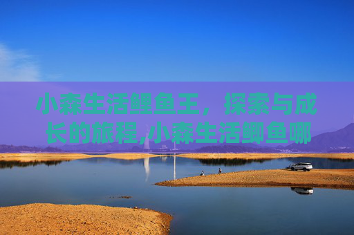 小森生活鲤鱼王，探索与成长的旅程,小森生活鲫鱼哪里多
