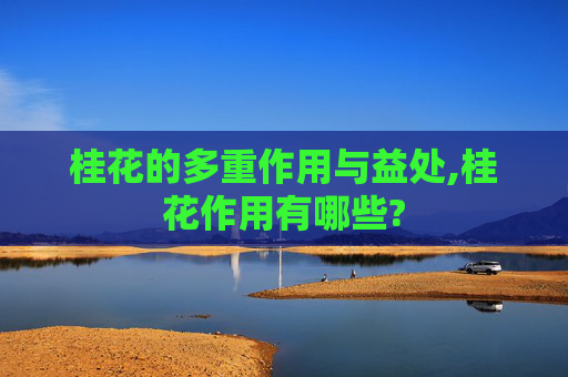 桂花的多重作用与益处,桂花作用有哪些?