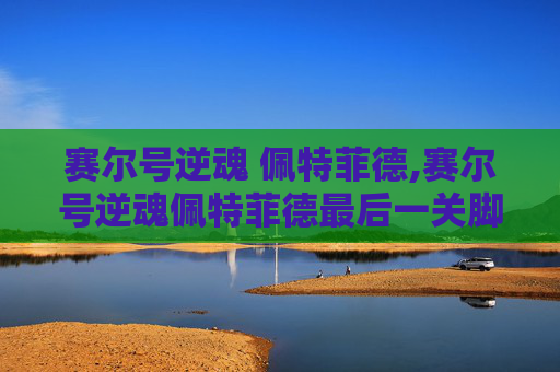 赛尔号逆魂 佩特菲德,赛尔号逆魂佩特菲德最后一关脚本