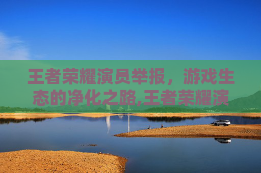 王者荣耀演员举报，游戏生态的净化之路,王者荣耀演员举报不成功怎么办
