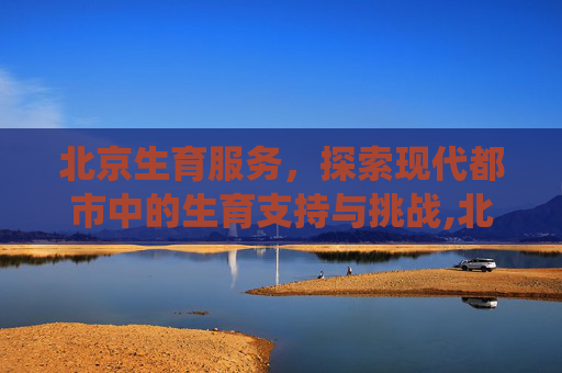 北京生育服务，探索现代都市中的生育支持与挑战,北京生育服务系统