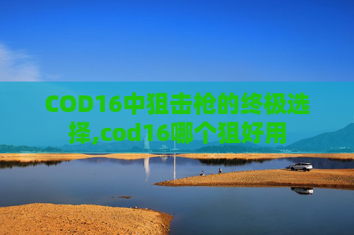 COD16中狙击枪的终极选择,cod16哪个狙好用