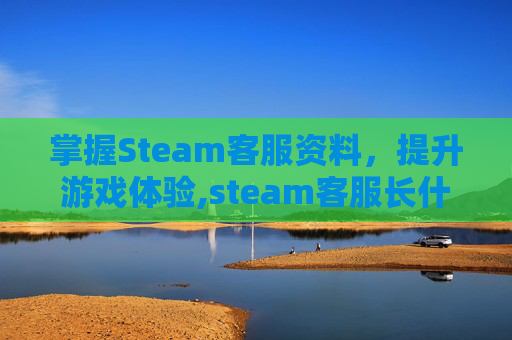 掌握Steam客服资料，提升游戏体验,steam客服长什么样