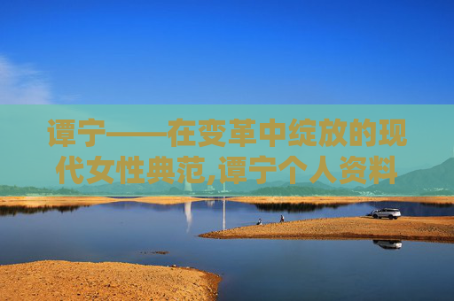 谭宁——在变革中绽放的现代女性典范,谭宁个人资料