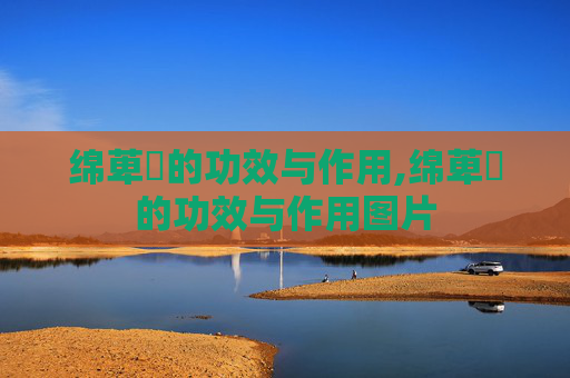 绵萆薢的功效与作用,绵萆薢的功效与作用图片