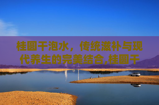 桂圆干泡水，传统滋补与现代养生的完美结合,桂圆干泡水喝的功效