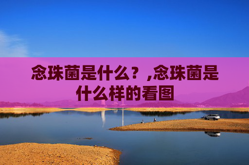 念珠菌是什么？,念珠菌是什么样的看图