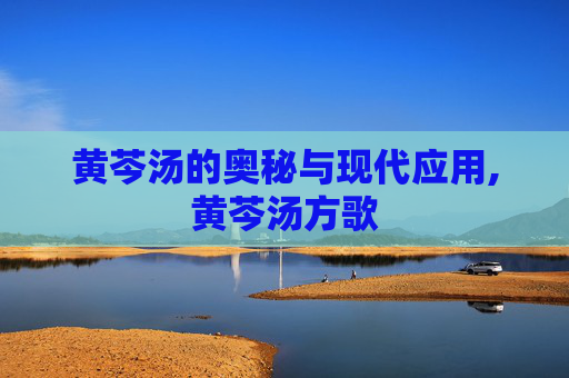 黄芩汤的奥秘与现代应用,黄芩汤方歌