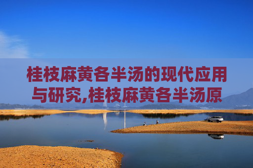 桂枝麻黄各半汤的现代应用与研究,桂枝麻黄各半汤原文