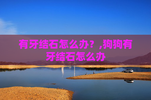 有牙结石怎么办?,狗狗有牙结石怎么办 有牙结石怎么办?,狗狗有牙结石怎么办