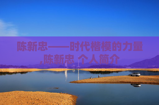 陈新忠——时代楷模的力量,陈新忠 个人简介