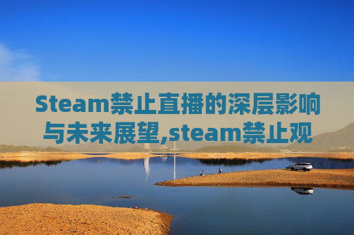 Steam禁止直播的深层影响与未来展望,steam禁止观看
