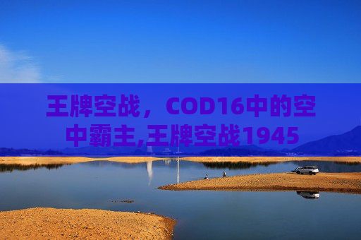 王牌空战，COD16中的空中霸主,王牌空战1945