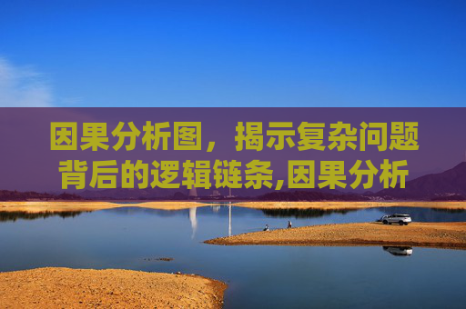 因果分析图,揭示复杂问题背后的逻辑链条,因果分析图又称为 因果分析图,揭示复杂问题背后的逻辑链条,因果分析图又称为