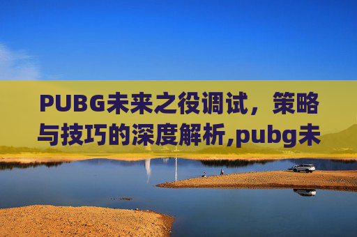 PUBG未来之役调试,策略与技巧的深度解析,pubg未来之役切换中文教程 PUBG未来之役调试,策略与技巧的深度解析,pubg未来之役切换中文教程