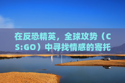在反恐精英，全球攻势（CS:GO）中寻找情感的寄托,csgo伤感视频