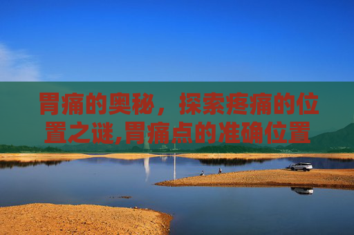 胃痛的奥秘，探索疼痛的位置之谜,胃痛点的准确位置图