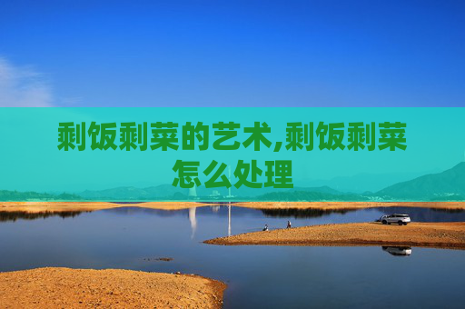 剩饭剩菜的艺术,剩饭剩菜怎么处理