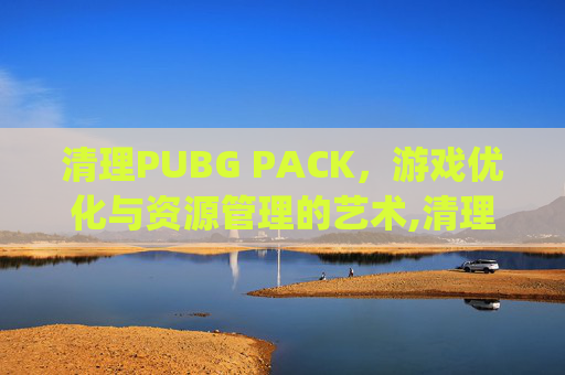 清理PUBG PACK，游戏优化与资源管理的艺术,清理pubg