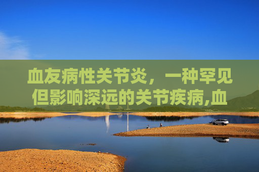 血友病性关节炎，一种罕见但影响深远的关节疾病,血友病性关节炎诊断标准
