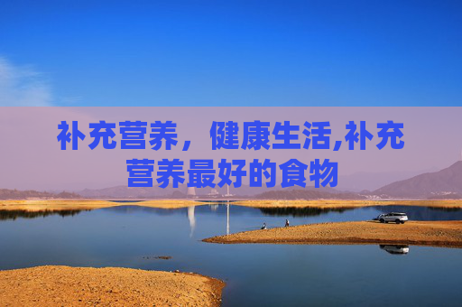 补充营养，健康生活,补充营养最好的食物