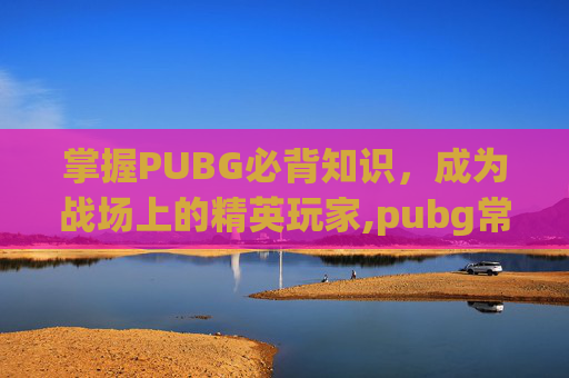 掌握PUBG必背知识，成为战场上的精英玩家,pubg常用术语