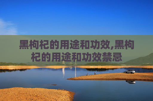 黑枸杞的用途和功效,黑枸杞的用途和功效禁忌