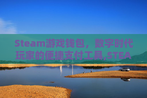 Steam游戏钱包，数字时代玩家的便捷支付工具,STEAM钱包