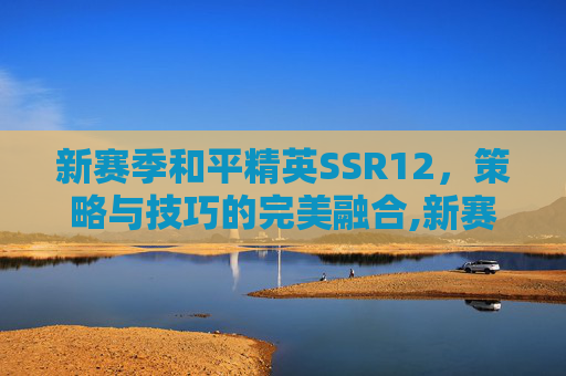 新赛季和平精英SSR12，策略与技巧的完美融合,新赛季和平精英ss12赛季时间