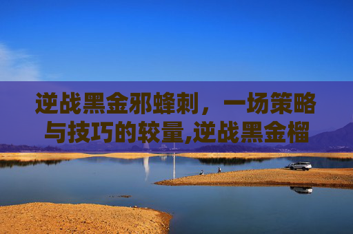 逆战黑金邪蜂刺，一场策略与技巧的较量,逆战黑金榴弹炮怎么刷
