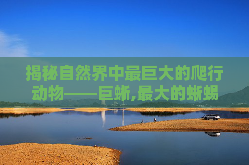 揭秘自然界中最巨大的爬行动物——巨蜥,最大的蜥蜴是什么蜥蜴