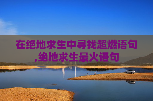 在绝地求生中寻找超燃语句,绝地求生最火语句