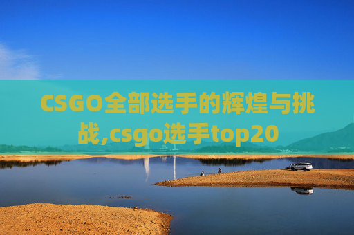 CSGO全部选手的辉煌与挑战,csgo选手top20