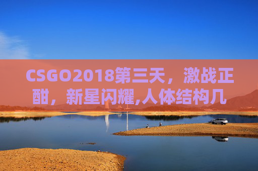 CSGO2018第三天，激战正酣，新星闪耀,人体结构几何体速写
