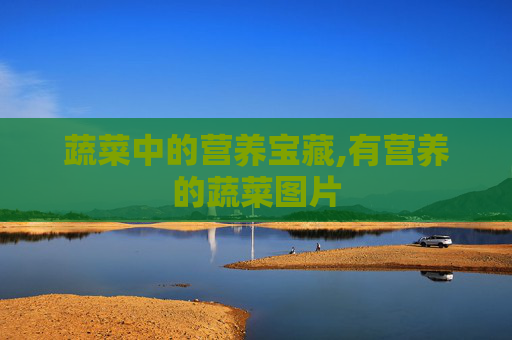 蔬菜中的营养宝藏,有营养的蔬菜图片