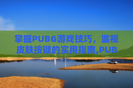 掌握PUBG游戏技巧，监视皮肤按键的实用指南,PUBG中皮肤怎么检视