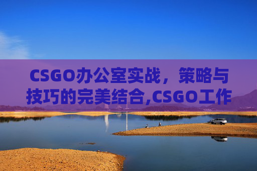 CSGO办公室实战，策略与技巧的完美结合,CSGO工作室一天收入多少