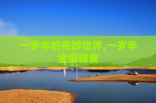 一岁半的奇妙世界,一岁半宝宝辅食