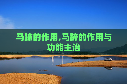 马蹄的作用,马蹄的作用与功能主治