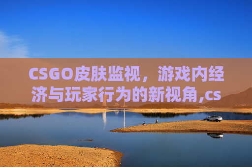 CSGO皮肤监视，游戏内经济与玩家行为的新视角,cs2皮肤检视网站