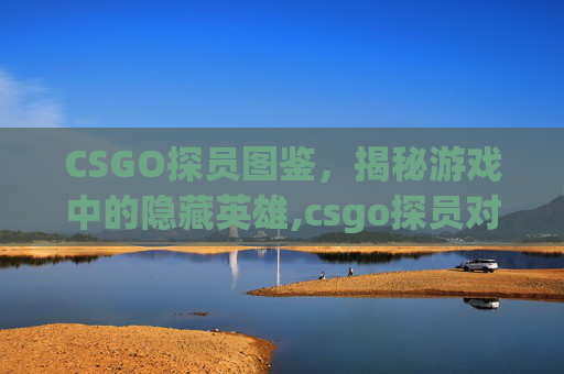 CSGO探员图鉴，揭秘游戏中的隐藏英雄,csgo探员对应地图