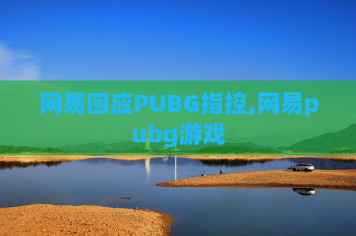 网易回应PUBG指控,网易pubg游戏