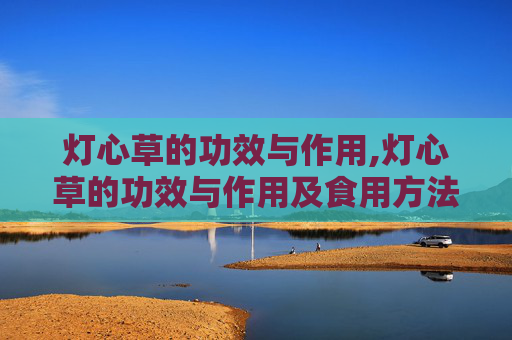 灯心草的功效与作用,灯心草的功效与作用及食用方法