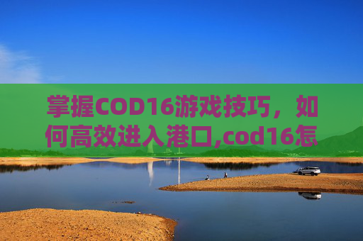 掌握COD16游戏技巧，如何高效进入港口,cod16怎么匹配码头