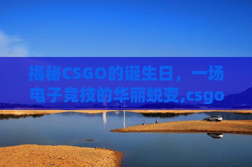 揭秘CSGO的诞生日，一场电子竞技的华丽蜕变,csgo发布时间